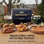 ninja-propane-grills-pg305hd-64_600-2.jpg